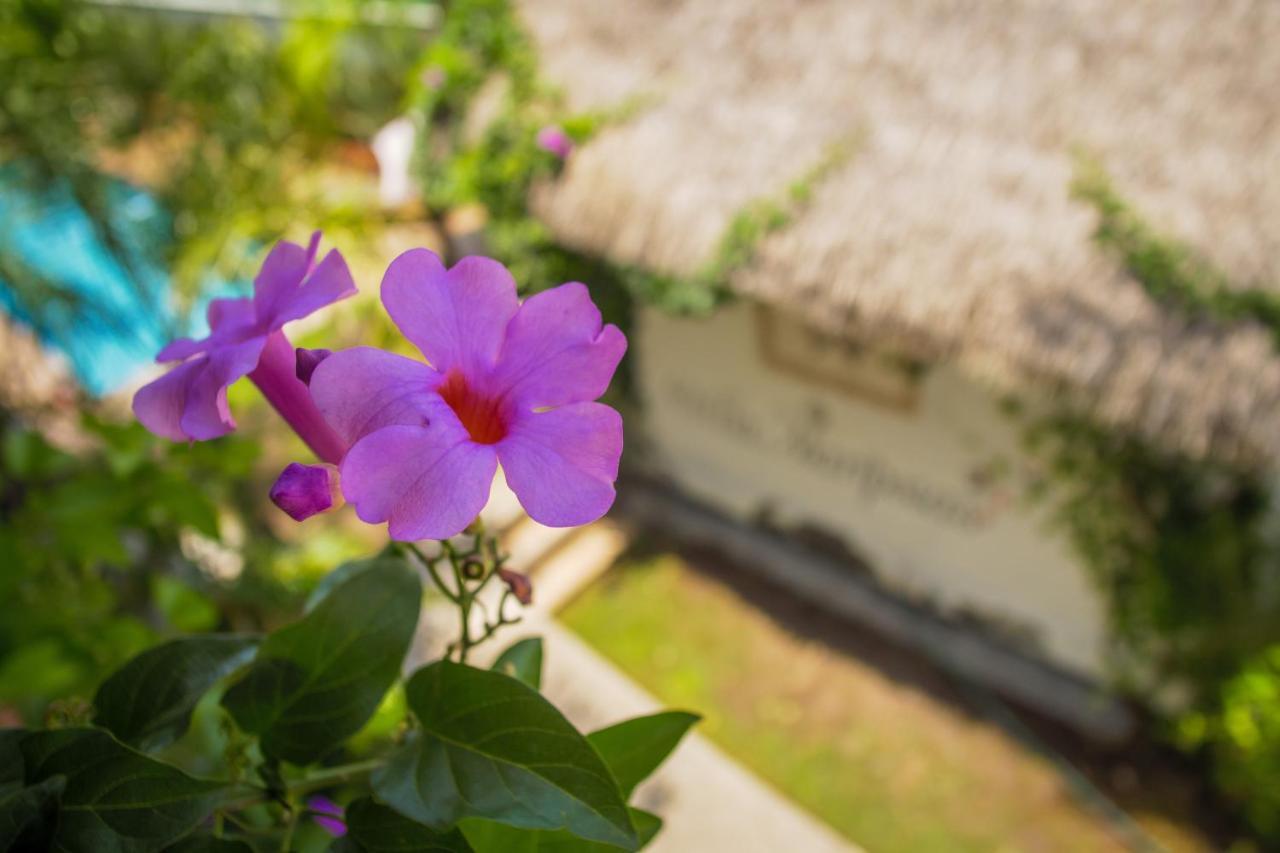 Hotel Villas Mariposas Atlixco Eksteriør billede