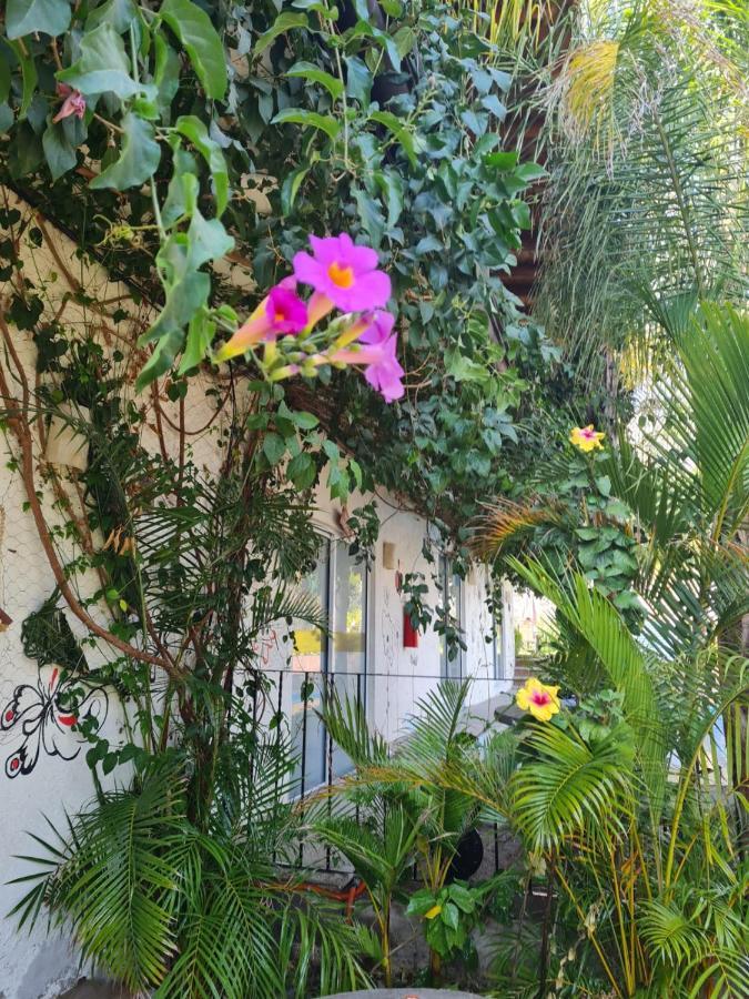 Hotel Villas Mariposas Atlixco Eksteriør billede