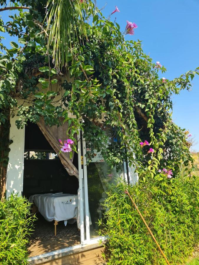 Hotel Villas Mariposas Atlixco Eksteriør billede
